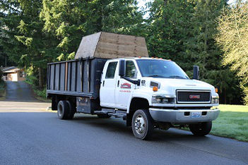 Downed-Tree-Removal-Auburn-Wa