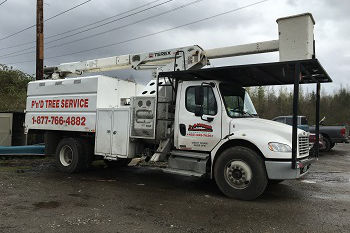 Fallen-Tree-Removal-Black-Diamond-WA