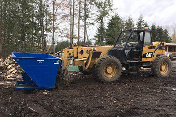 Fallen-Tree-Removal-Issaquah-WA