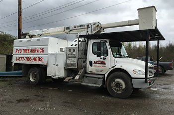 Land-Clearing-Bellevue-WA