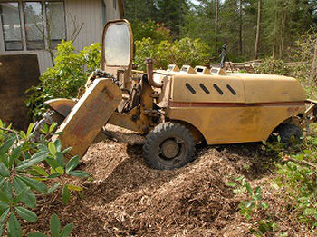 Stump-Grinding-Service-Renton-WA