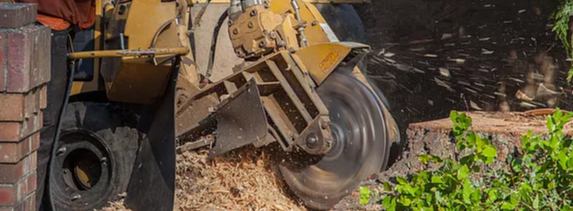 Stump-Grinding