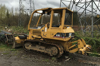 Stump-Removal-Factoria-WA