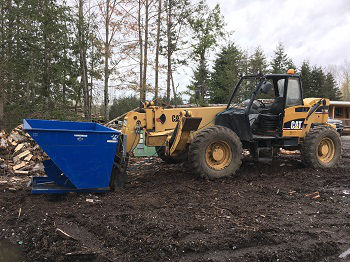 Tree-Service-Company-Federal-Way-WA