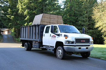 Tree-Service-Snoqualmie -WA