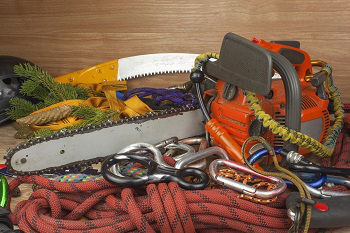 Tree-Trimming-Service-Des-Monines-WA