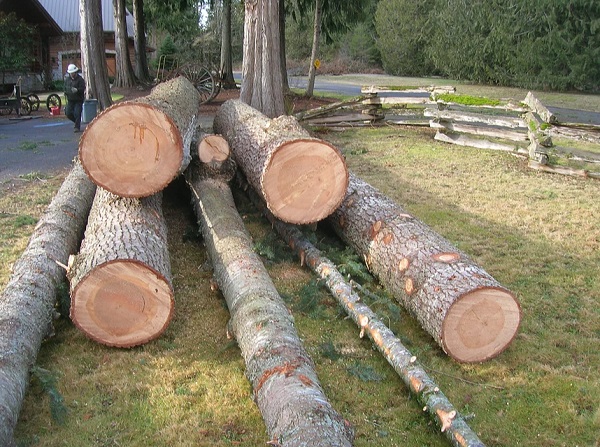 Log Load Pile