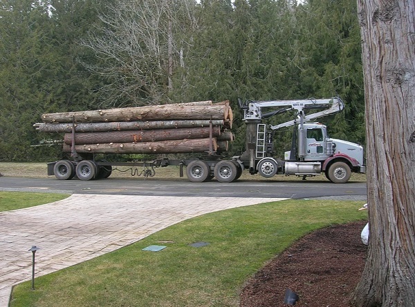 Log Truck Load
