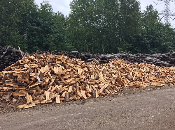 Seasoned Firewood