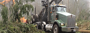 Land-Clearing-Burien-WA