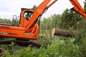 Tree-Clearing-Enumclaw-WA