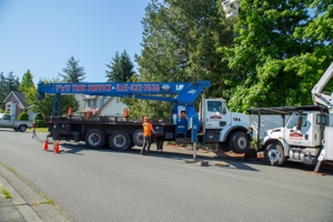 tree-removal-Fircrest-WA