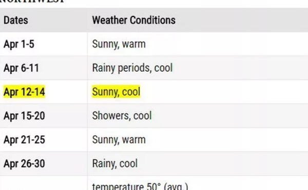 April and May Forecast