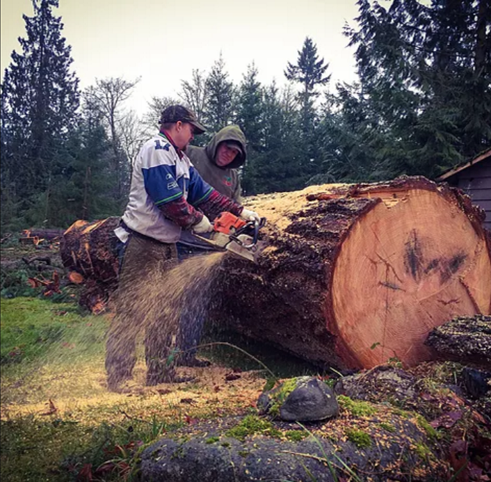Jr and Sr Cutting Large Fir - This was a very large Douglas Fir tree that we were hired to transport to the mill. The black stains at the butt indicate the presence of metal.