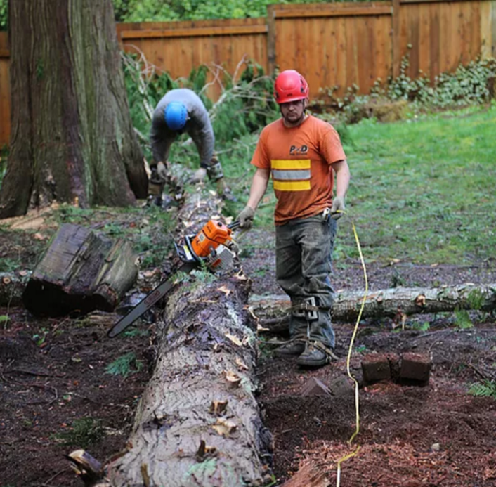 Measuring Log