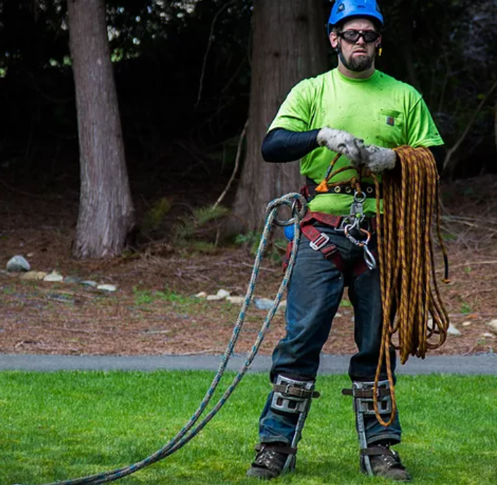 Nick is coiling his climbing rope - Nic is preparing to climb the next tree. He is wrapping up his rope and checking his gear.