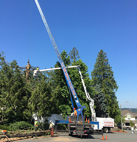 Bucket and Crane - Nic is up in the bucket truck attaching the choker cable for the crane.