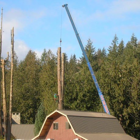 Crane - Customer provide this nice picture of our crane lifting their tree over a barn.
