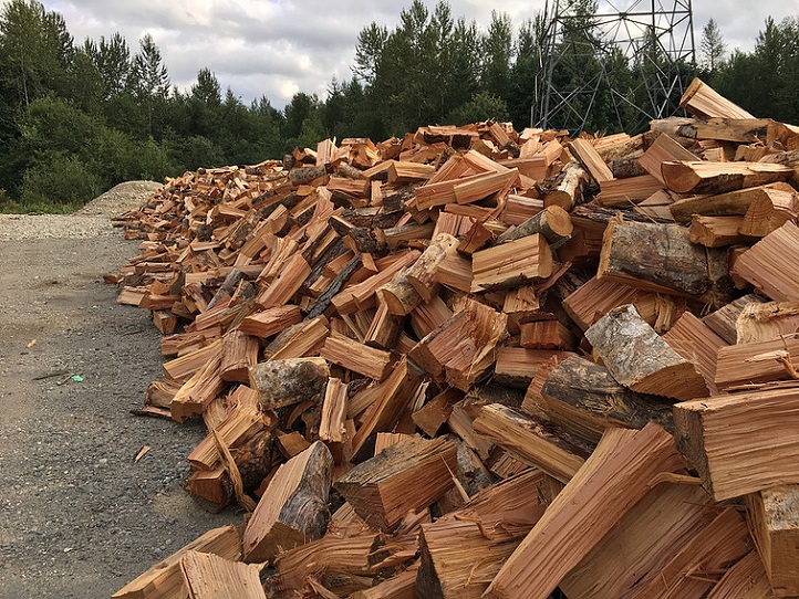 Firewood Pile - Each year we sell hundreds of cords of firewood across the area.