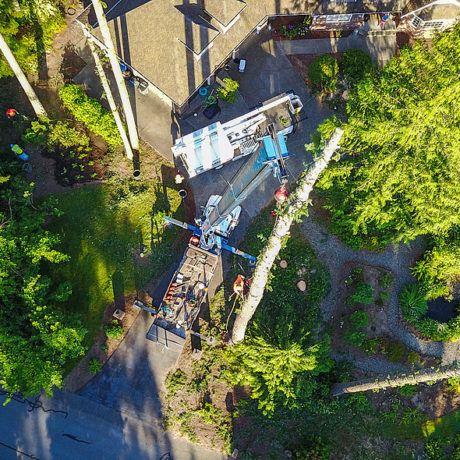 P'n'D Logging Crane Tree Removal - Overhead view looking down at the crane and tree top.