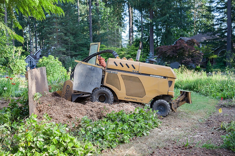 Stump Grinder - This is one of our larger stump grinders. This can grind down stumps in minutes below grade. Why hassle with breaking your back or using chemicals when you can call us for a free estimate.