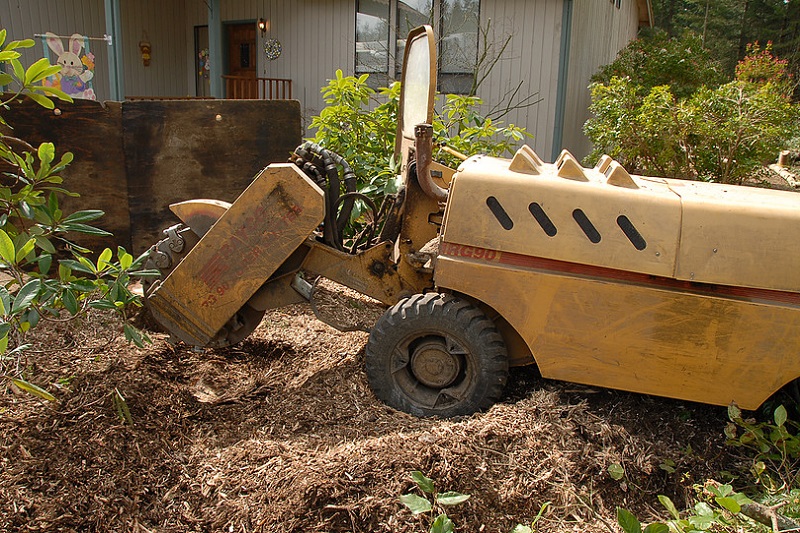 Stump Grinding Machine - We always provide free written estimates with very competitive prices. Call us today!