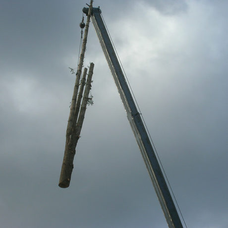 Tree Trunk - Large tree trunk being lifted an moved to brush chipper and log truck.