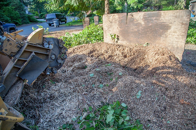 Wood Chips - All that is left is a pile of wood chips that makes excellent ground cover.