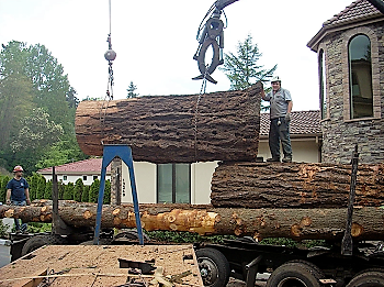 Fallen-Tree-Removal-Fircrest-WA