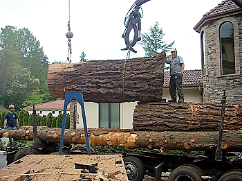 Tree-Limb-Removal-Ellensburg-WA