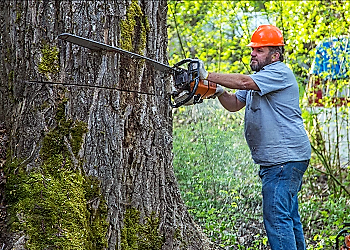 Tree Removal Company-Snoqualmie-Pass-WA