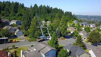 Crane-Tree-Removal-Maple-Valley-WA