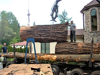 Tree-Crane-Lake-Tapps-WA