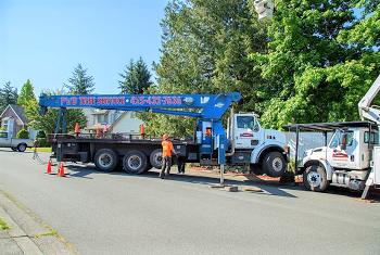 Tree-Crane-Lakewood-WA