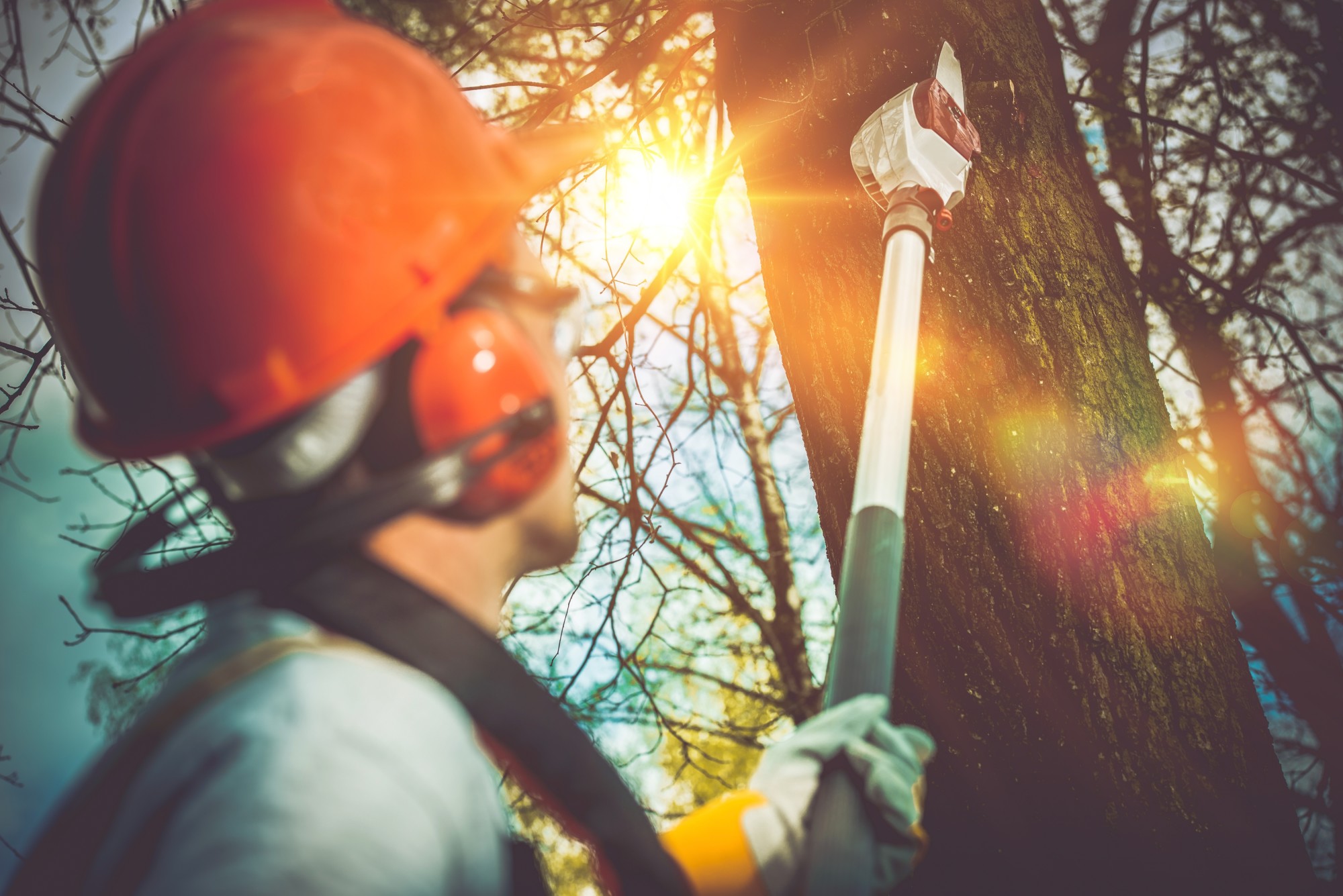 R&H Tree Service Portland Oregon - Gresham arborist, removal, trim