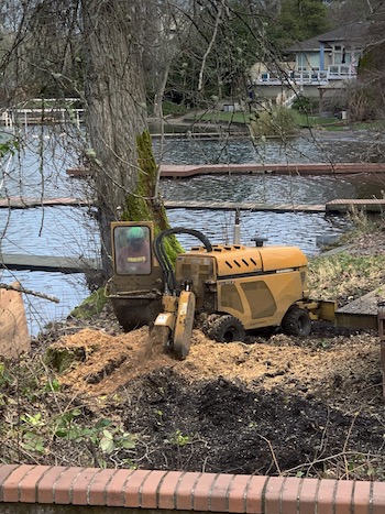 Stump-Removal-Port-Orchard-WA