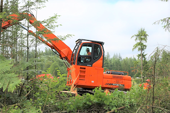 Tree-Removal-With-Crane-Midway-WA