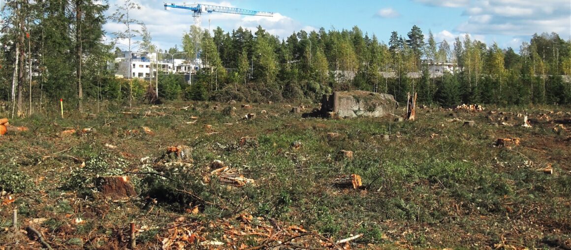 Land Clearing 101: How Do I Clear My Own Land?