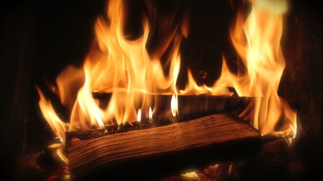 Winter Essentials: Which Is the Best Wood for Firewood?