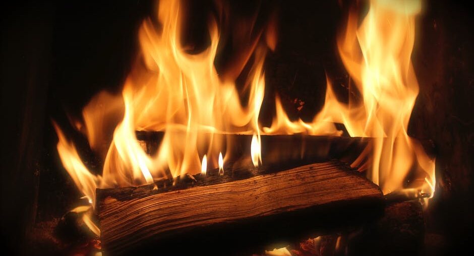 Winter Essentials: Which Is the Best Wood for Firewood?