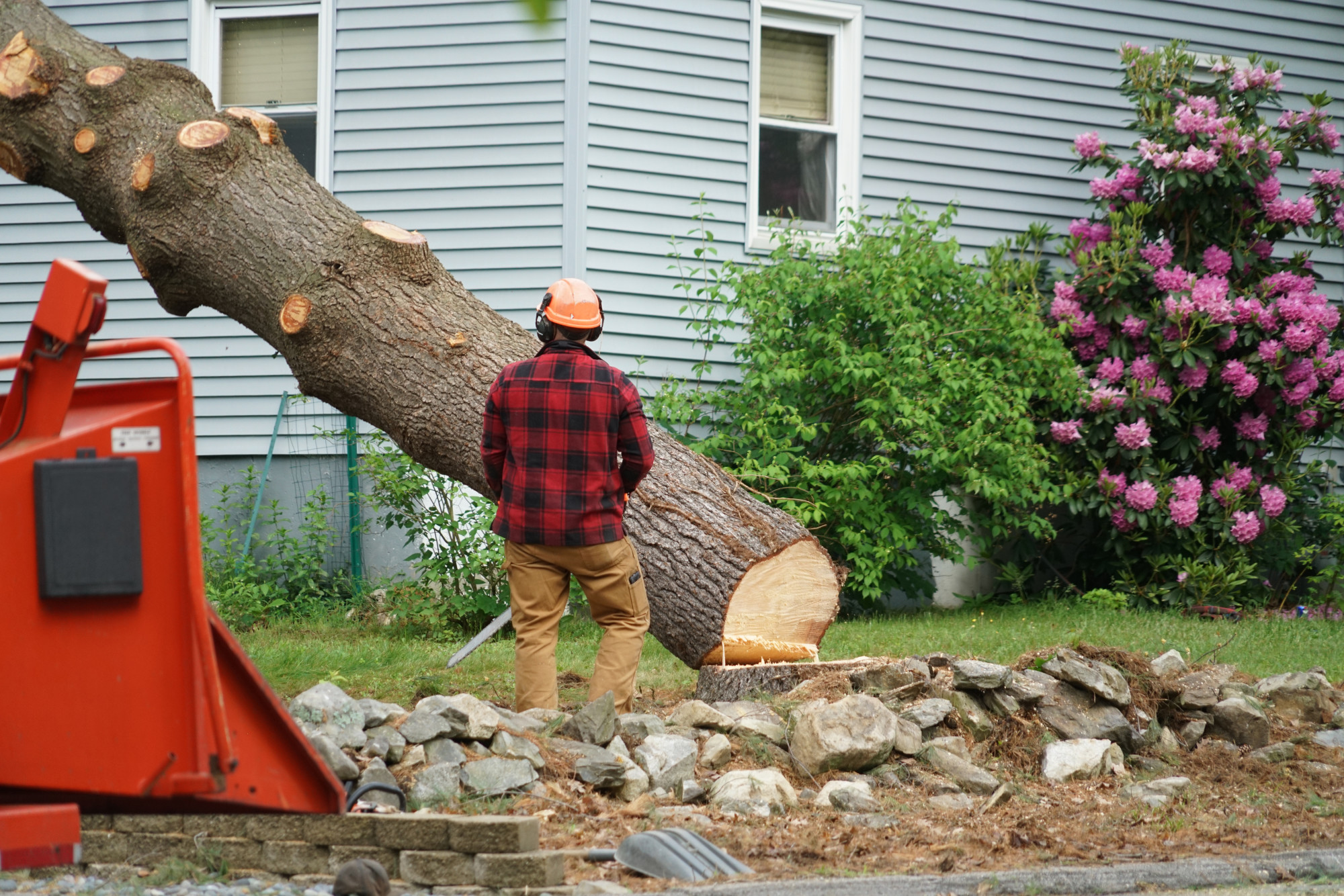 Emergency-Tree-Removal-Holmes-WA