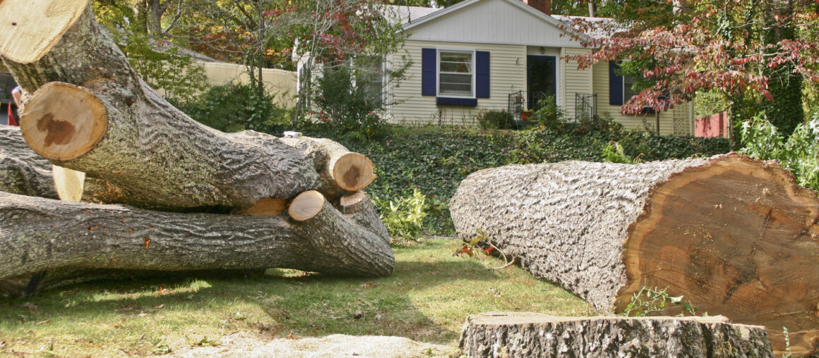 Home Insurance & Emergency Tree Service: What Is & Isn't Covered?