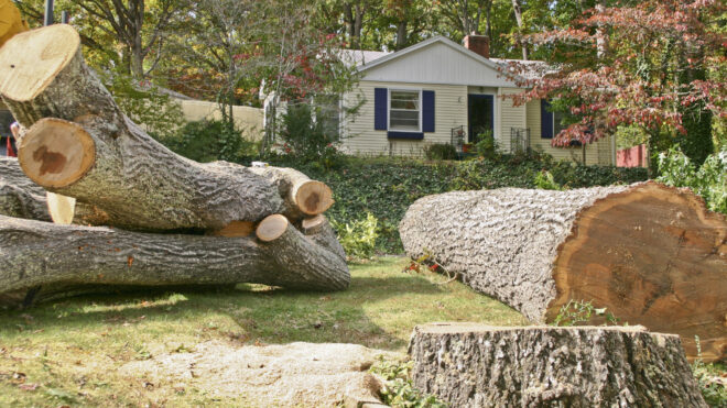 Home Insurance & Emergency Tree Service: What Is & Isn't Covered?