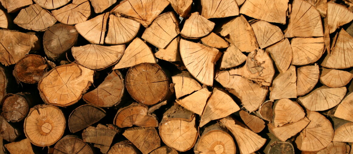 A Beginner's Guide on How to Buy Firewood