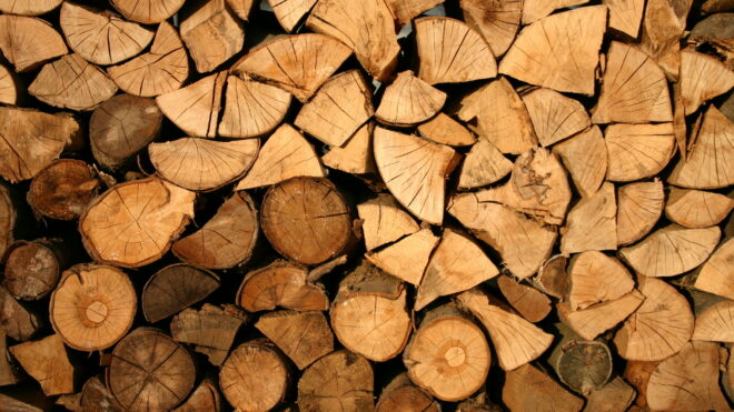 A Beginner's Guide on How to Buy Firewood